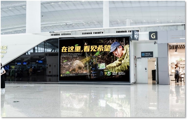 T2 Domestic Departure Check-in Hall Lightbox Package B